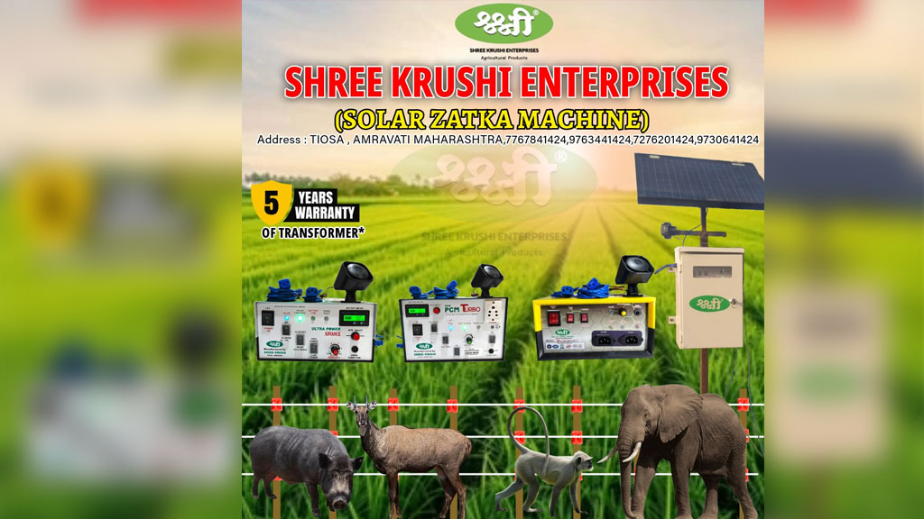 Leading Solar Zatka Machine Manufacturers Ensure Product Reliability